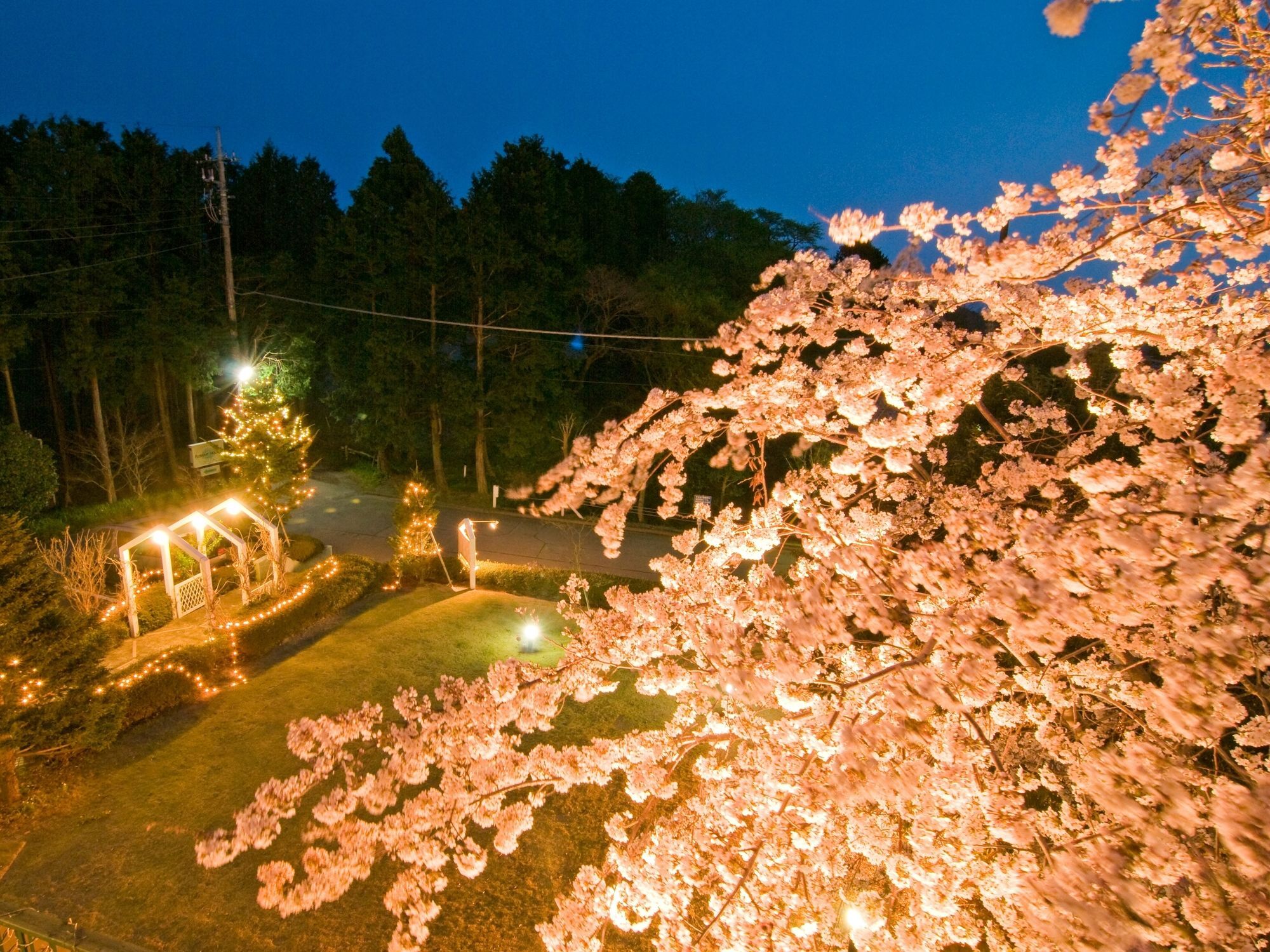 Petit Resort Hotel Alcyon Ito (Shizuoka) Exterior foto
